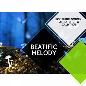 Beatific Melody - Soothing Sounds of Nature to Calm You