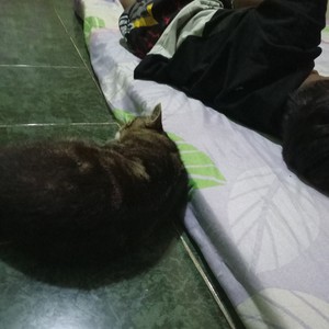 Jangan lupa tuk bahagia