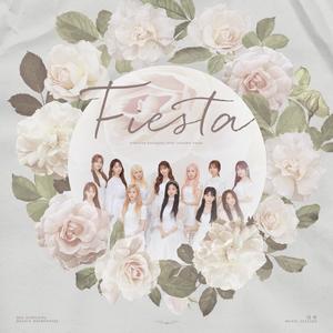 FIESTA-IZone