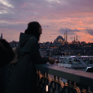 枫小熊 - 丛林漫步者