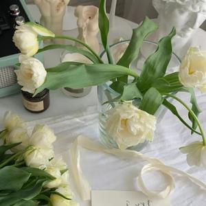 一勿安圆 - 《一切》-北岛