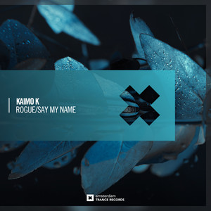 Rogue (Extended Mix)