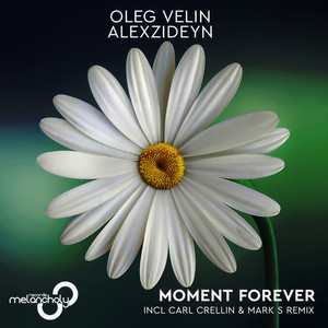 Moment Forever (Carl Crellin & Mark S Remix)