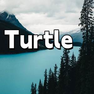 Turtle