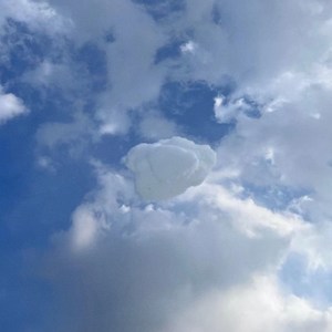 文兆杰 - 一种后结构主体