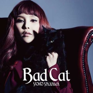 Bad Cat