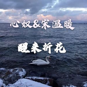 醒来折花 (Remix)