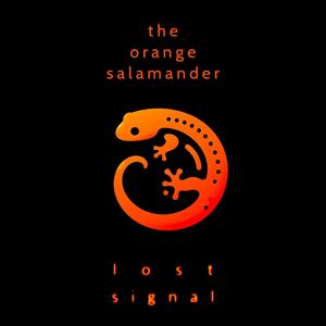 The Orange Salamander