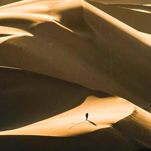 Dune