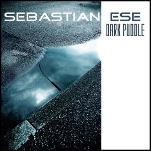 Dark Puddle (Remix)