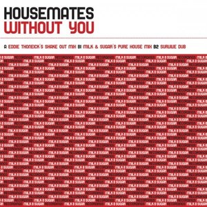 Without You (Milk & Sugar's Pure House Club Mix)