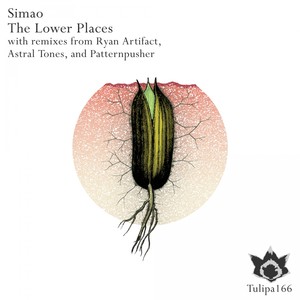 Snowball Effect (Astral Tones Remix)