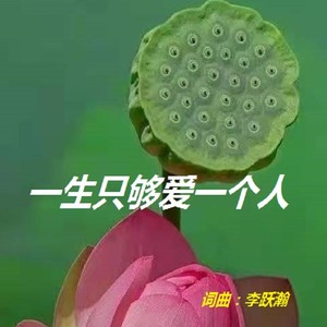 一生只够爱一个人