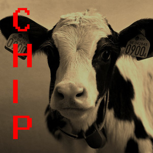 Lotte Fylla Or (Extended Version)