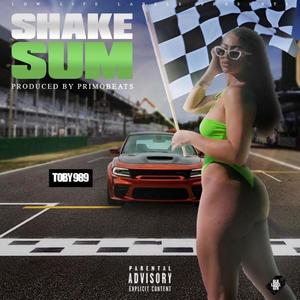 Shake Sum (Explicit)