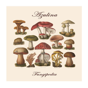 Fungipedia