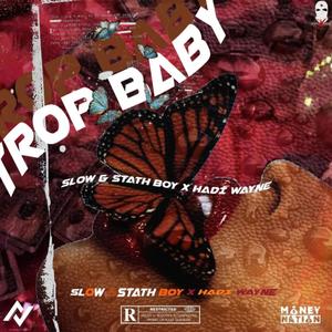 Trop Baby (feat. Shoupouboubou & Hadi Wayne) (Explicit)