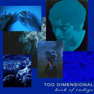 too dimensional: book of indigo (Explicit)