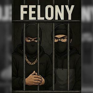 Felony (feat. Rtheruler) (Explicit)