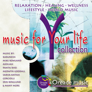 Papillon (Yelleleh mix)