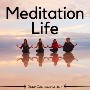 Meditation Life - Nature Sounds, Zen Relaxing Background Music for Yoga, Deep Contemplation