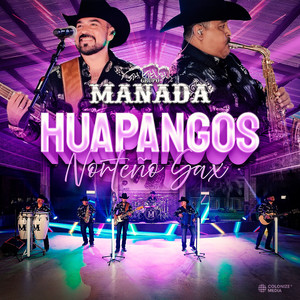 Huapangos Norteño Sax (En Vivo)