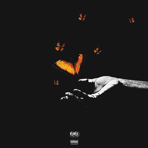 Wants & Needs (Explicit)