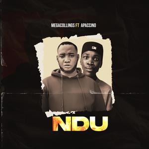 Ndu (feat Apacino mulla)