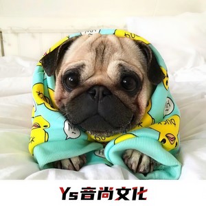 万人蹦迪 全体起立