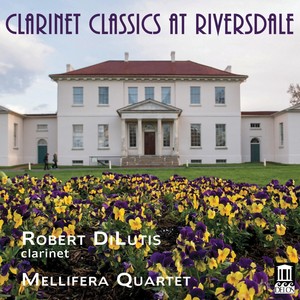Clarinet Quintet in B-Flat Major, Op. 34, J. 182 - I. Allegro