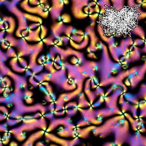 kuriboh (feat. ahegao_shinji)