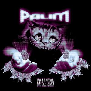 PALIM (Explicit)