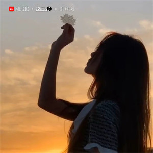 当不了英雄 (DJ版)