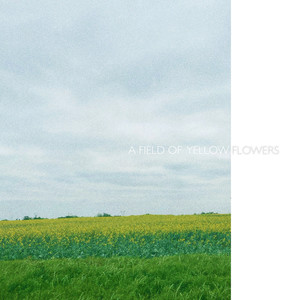 A Field of Yellow Flowers (Explicit)