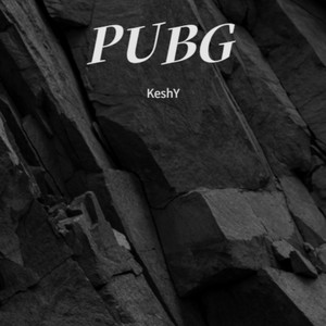 PUBG (Remix)