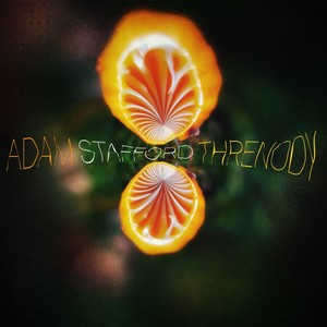 Threnody For February Swallows