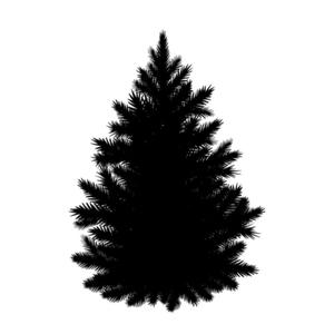 December