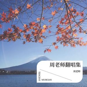 茶花开了-周老师