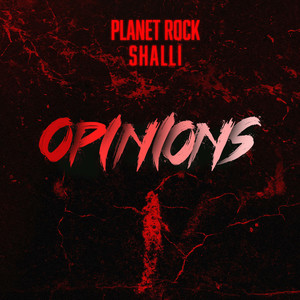 Opinions (Explicit)