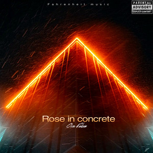 Rose in Concrete (Explicit)