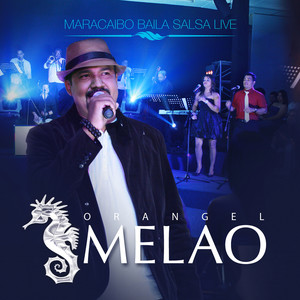 Maracaibo Baila Salsa (Live)