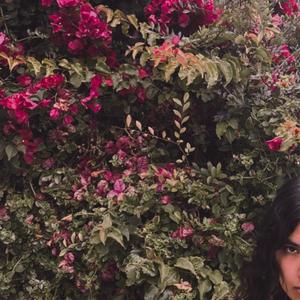 jasmine street (Extended Version)