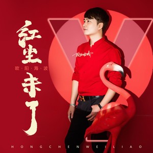 红尘未了 (DJ默涵版伴奏)