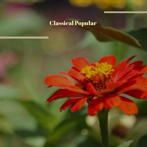 Classical Popular