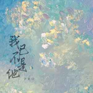 我已不是他 (DJ楠哈哈版) - pro封面