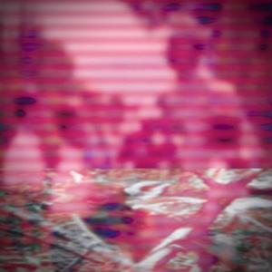 no contact (feat. luperlooped) (Explicit)