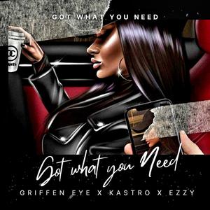 Got What You Need (Explicit)