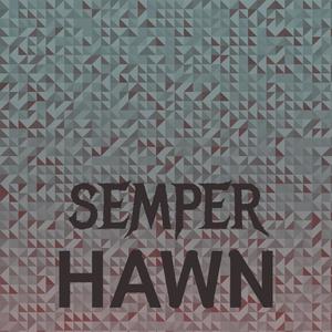 Semper Hawn