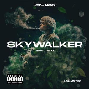 Skywalker (feat. Tez.CC & Daz DaVinci) (Explicit)