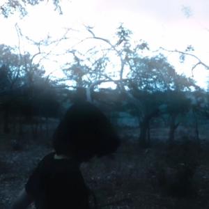 decay HASTE